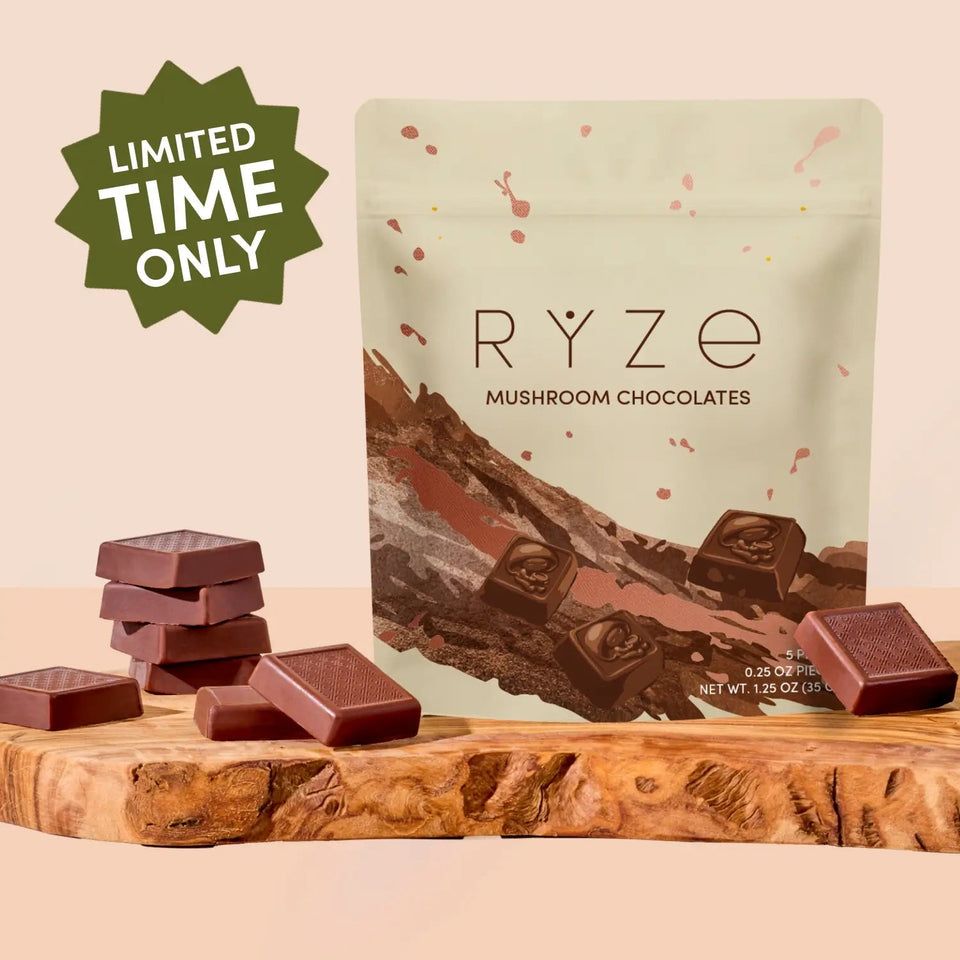Mushroom Chocolates Rye (15 pieces) - Evening Sip
